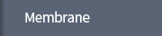Membrane